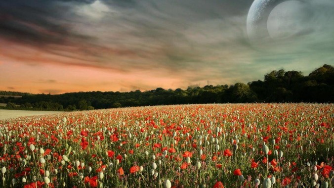 你身边身材最好的女生是什么样?